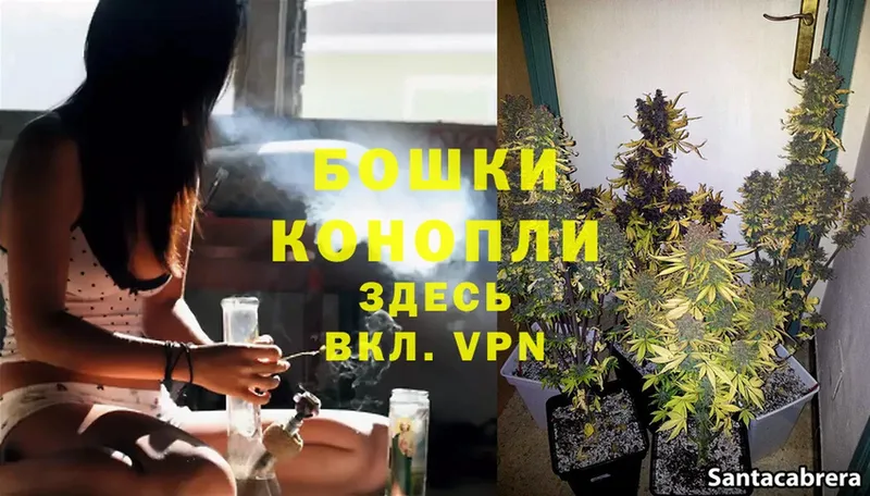 Каннабис Bruce Banner  где купить наркотик  Далматово 